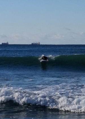 A surfer is paddling onto a wave. In the background, 2 coal ships.