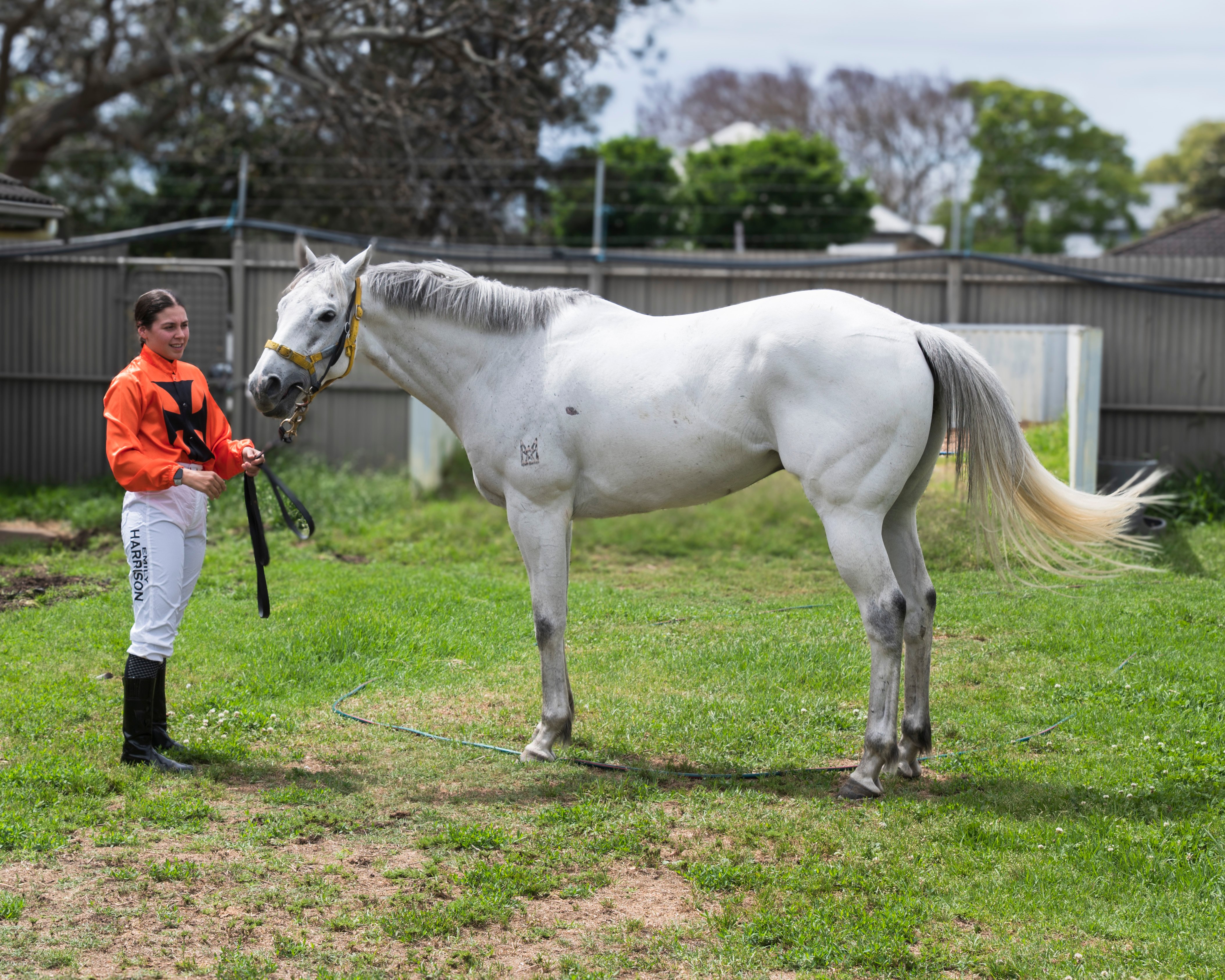 Emily with horse, Roullouttie