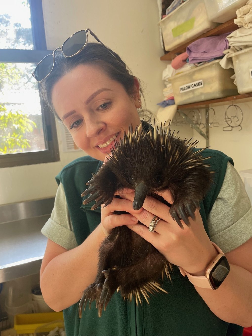 From volunteer to vet nurse at Taronga Zoo: Rhiann's journey